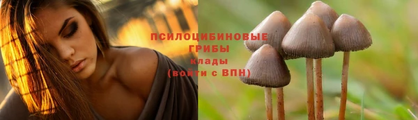 синтетический гашиш Арсеньев