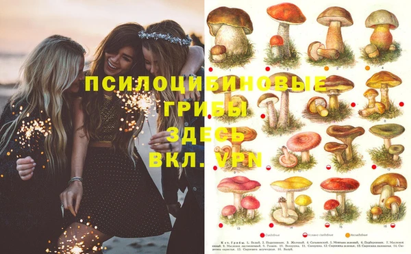 синтетический гашиш Арсеньев