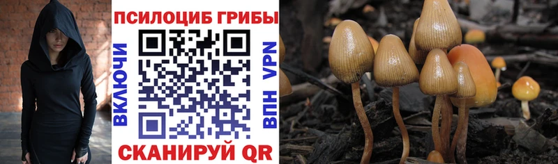 сколько стоит  Оленегорск  Галлюциногенные грибы Magic Shrooms 